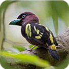 WWW,se773·COM网站APPAPP应用
